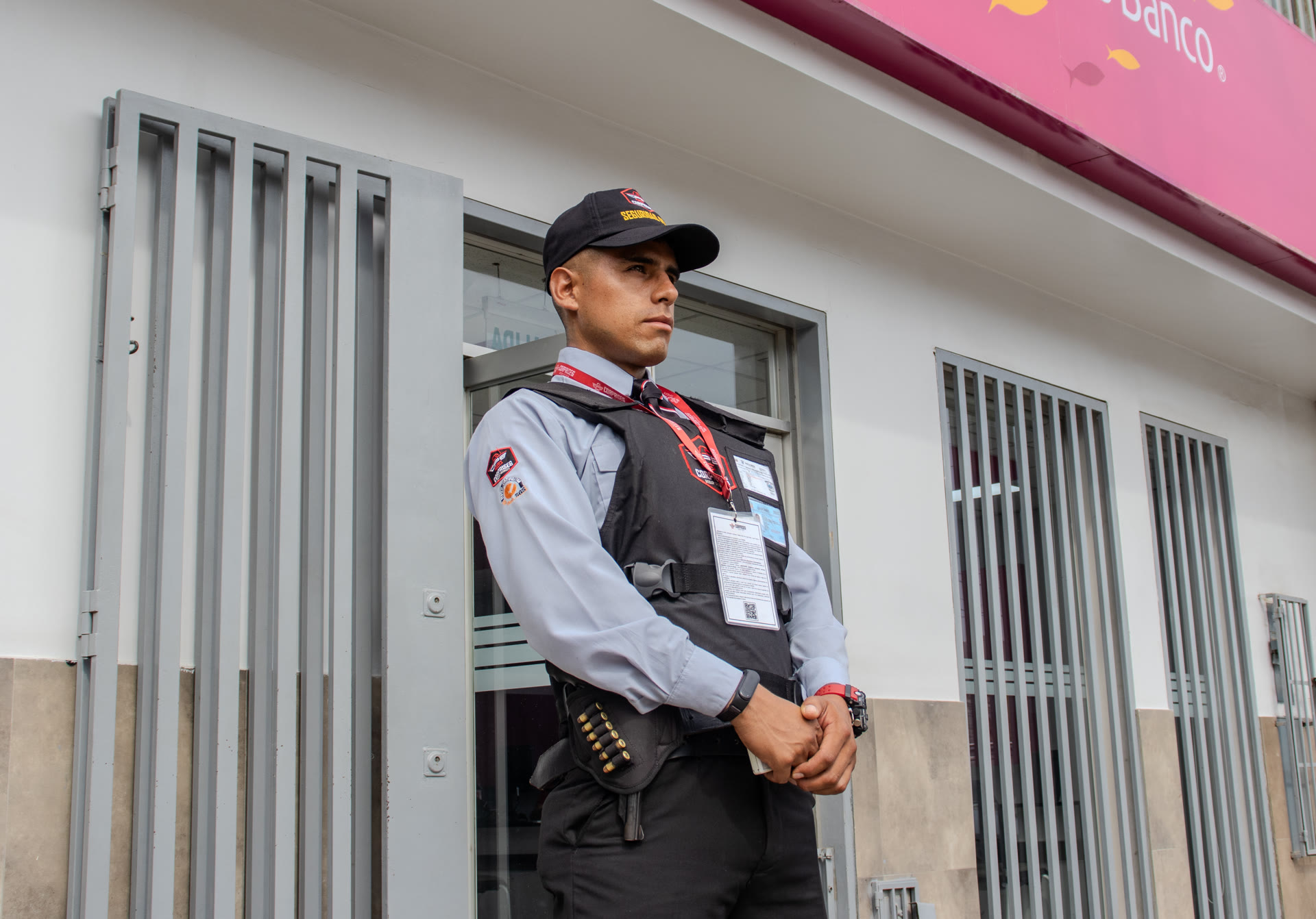 Servicios de Vigilancia Privada Corporativa